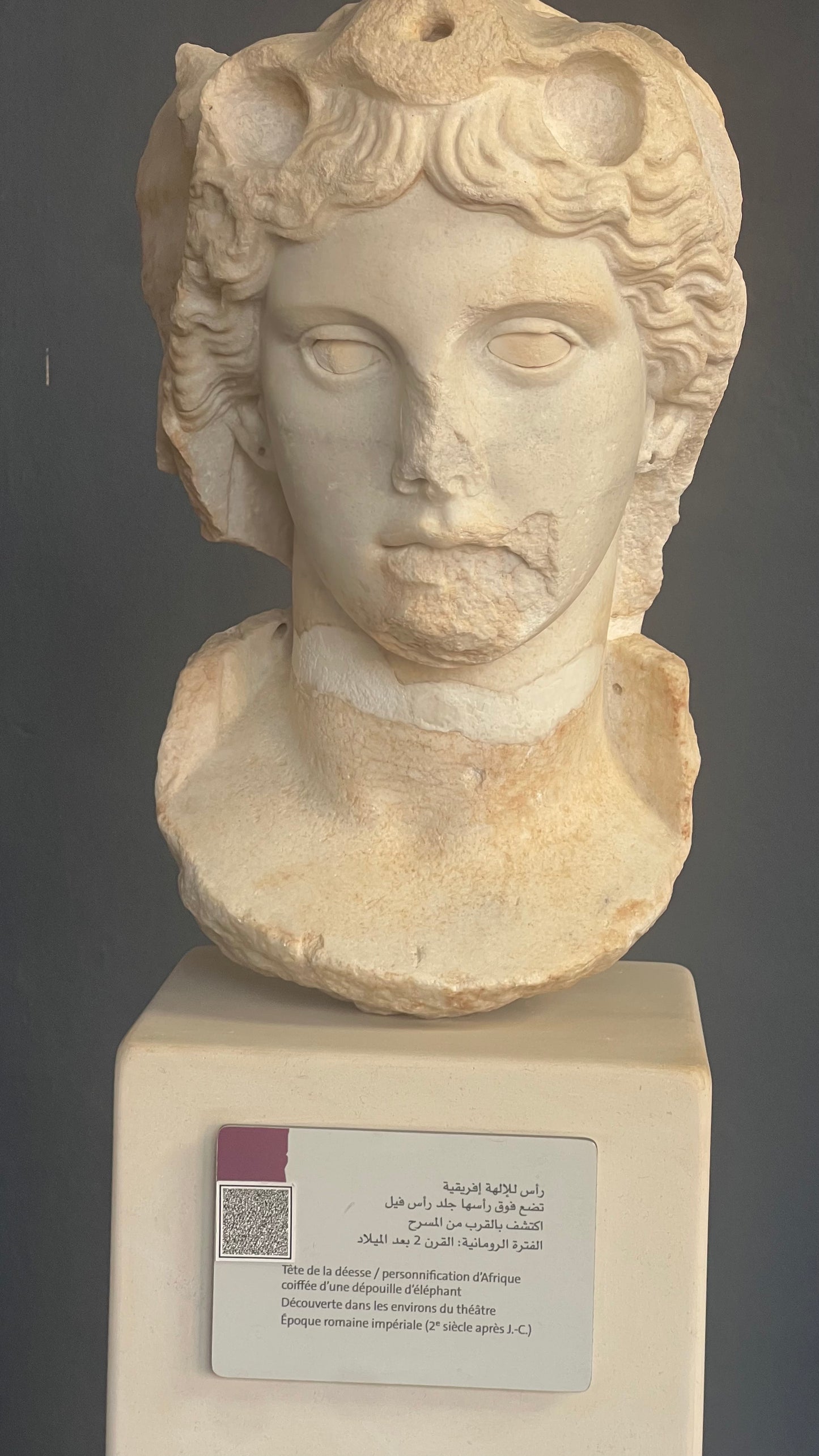 Dar Jedda Zakia